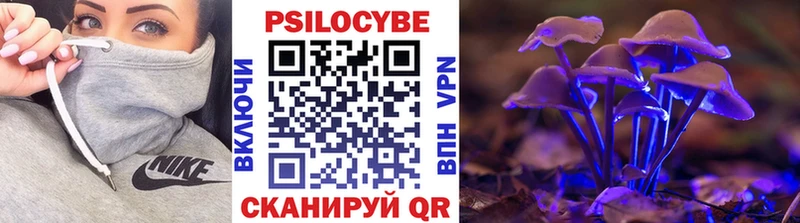 Галлюциногенные грибы GOLDEN TEACHER сколько стоит Северобайкальск